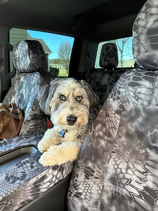 why-pet-owners-need-waterproof-seat-covers.jpg