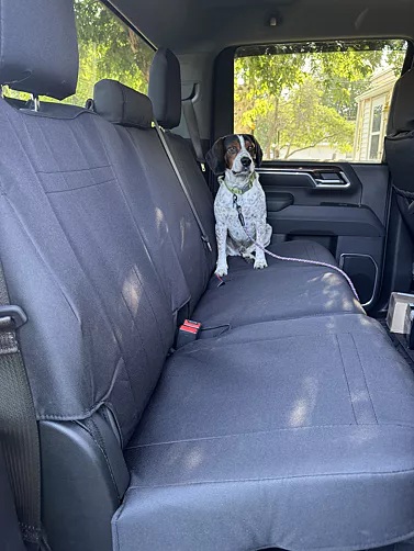 why-you-need-pet-car-seat-covers-for-your-family-vehicle.jpg